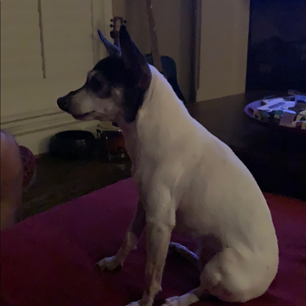 Meet your Posher, Maranie